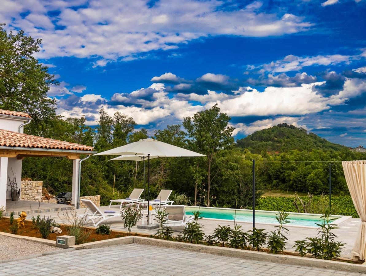 Villa Klara Buzet Esterno foto